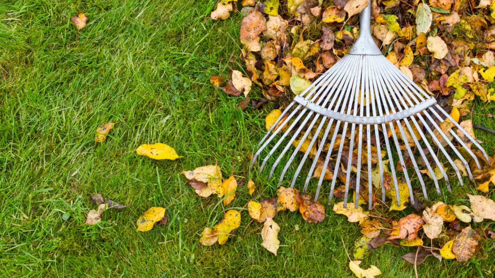entretien espaces verts Dardilly